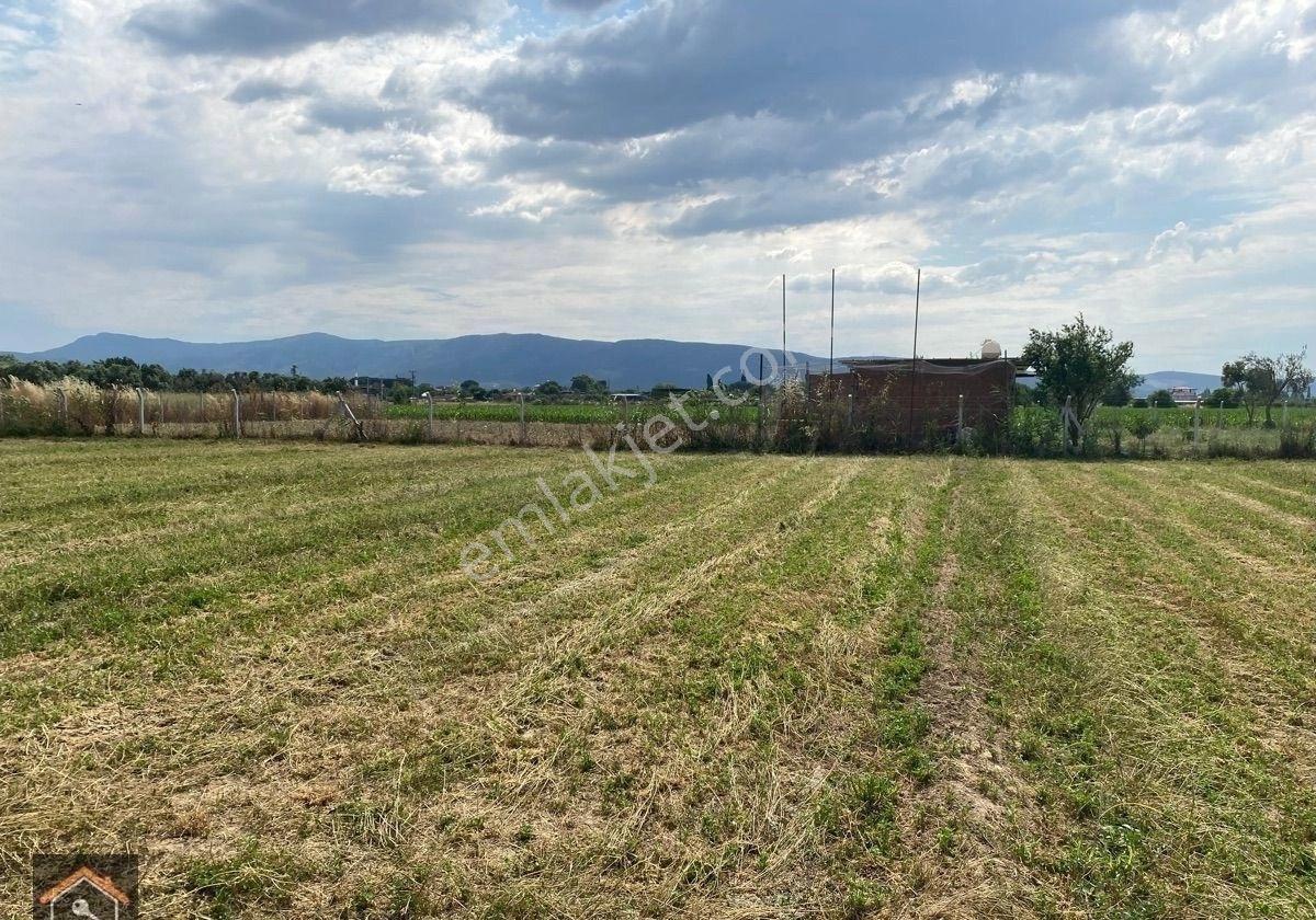 Günay Emlak'tan Torbalı Eğerci Mahallesinde Satılık 4.100 M2 Tek Tapu Tarla - Görsel 8