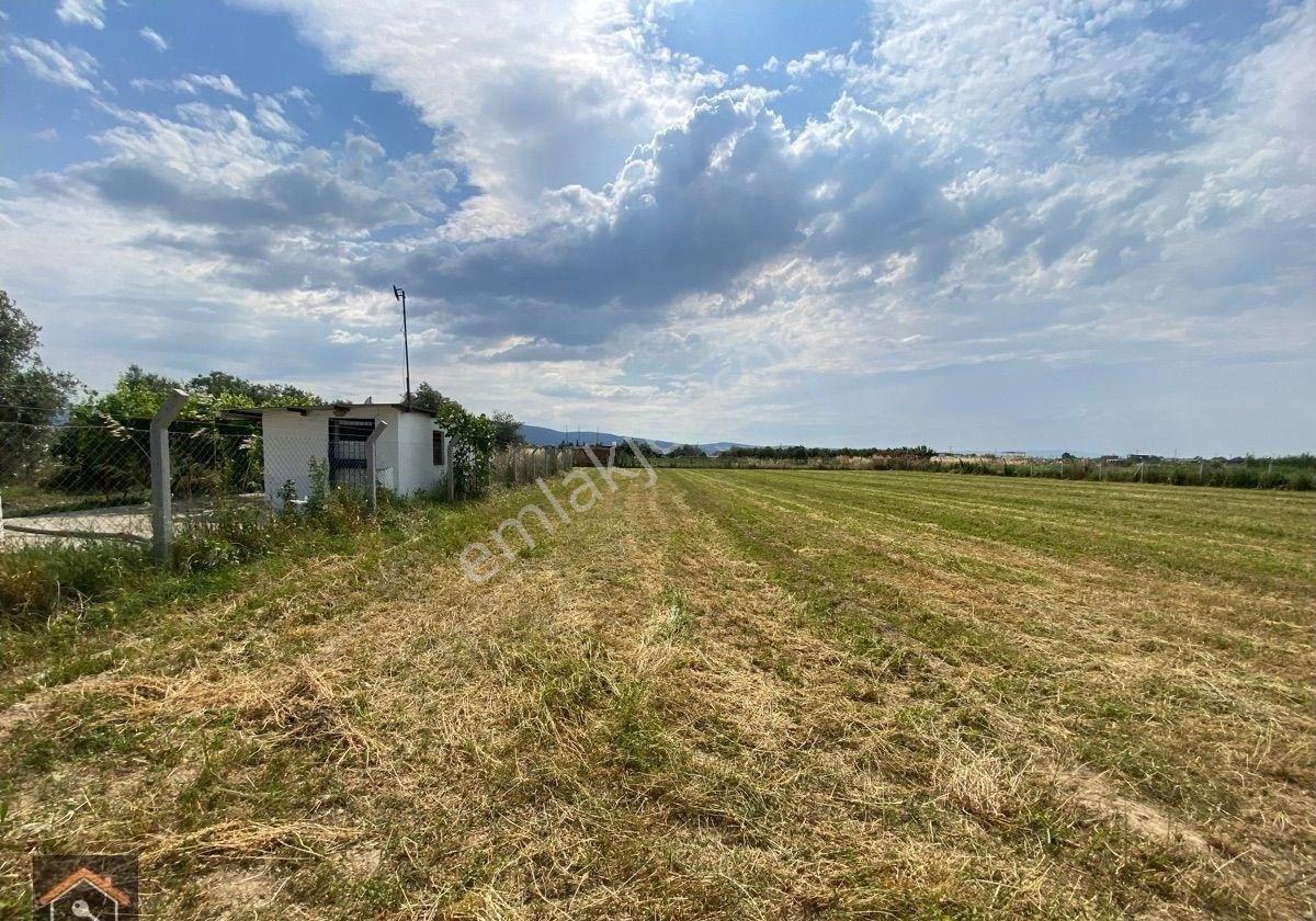 Günay Emlak'tan Torbalı Eğerci Mahallesinde Satılık 4.100 M2 Tek Tapu Tarla - Görsel 14