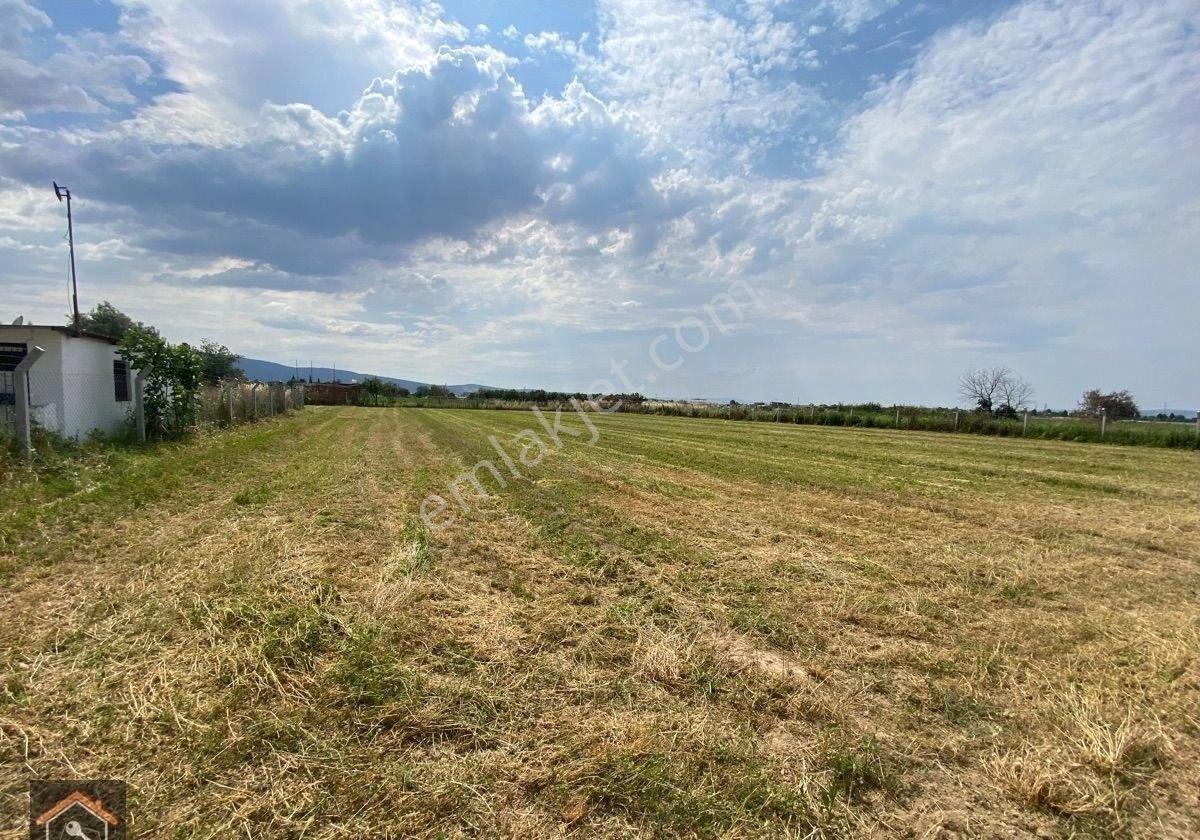 Günay Emlak'tan Torbalı Eğerci Mahallesinde Satılık 4.100 M2 Tek Tapu Tarla - Görsel 13