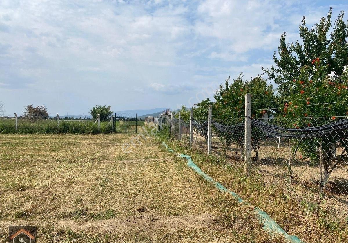 Günay Emlak'tan Torbalı Eğerci Mahallesinde Satılık 4.100 M2 Tek Tapu Tarla - Görsel 11