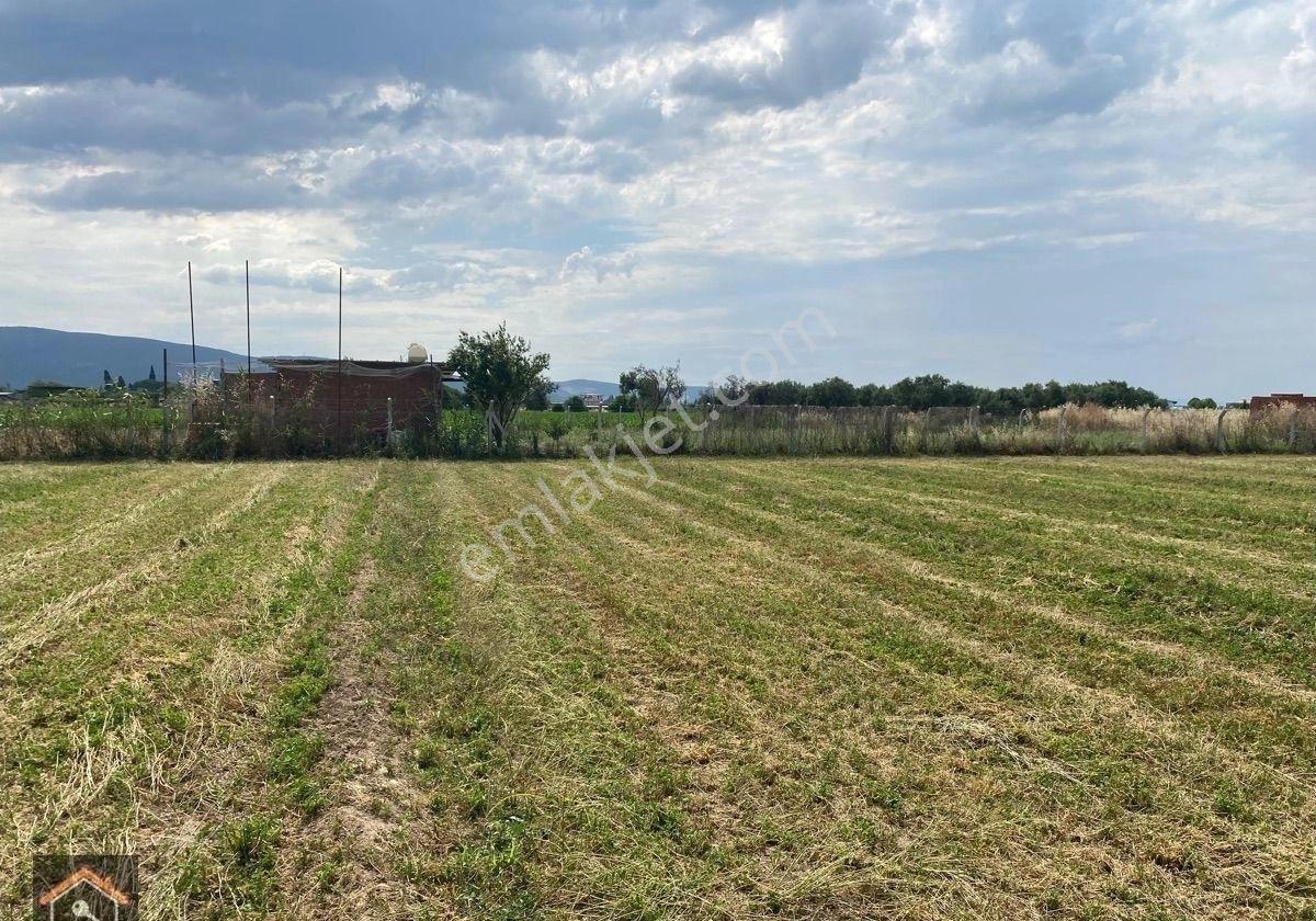 Günay Emlak'tan Torbalı Eğerci Mahallesinde Satılık 4.100 M2 Tek Tapu Tarla - Görsel 22