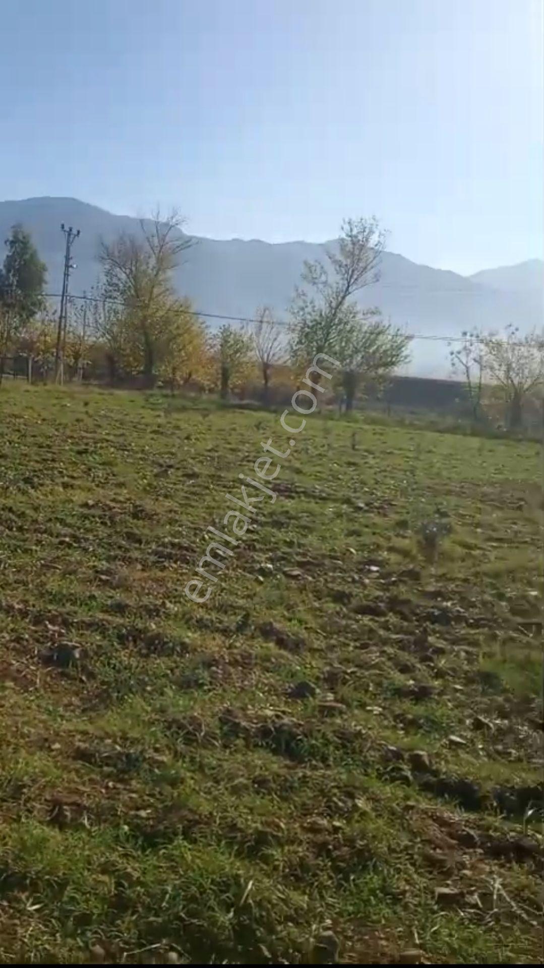 Asfalt Yol Cepheli Elektrik Su Yol Mevcut. - Görsel 2