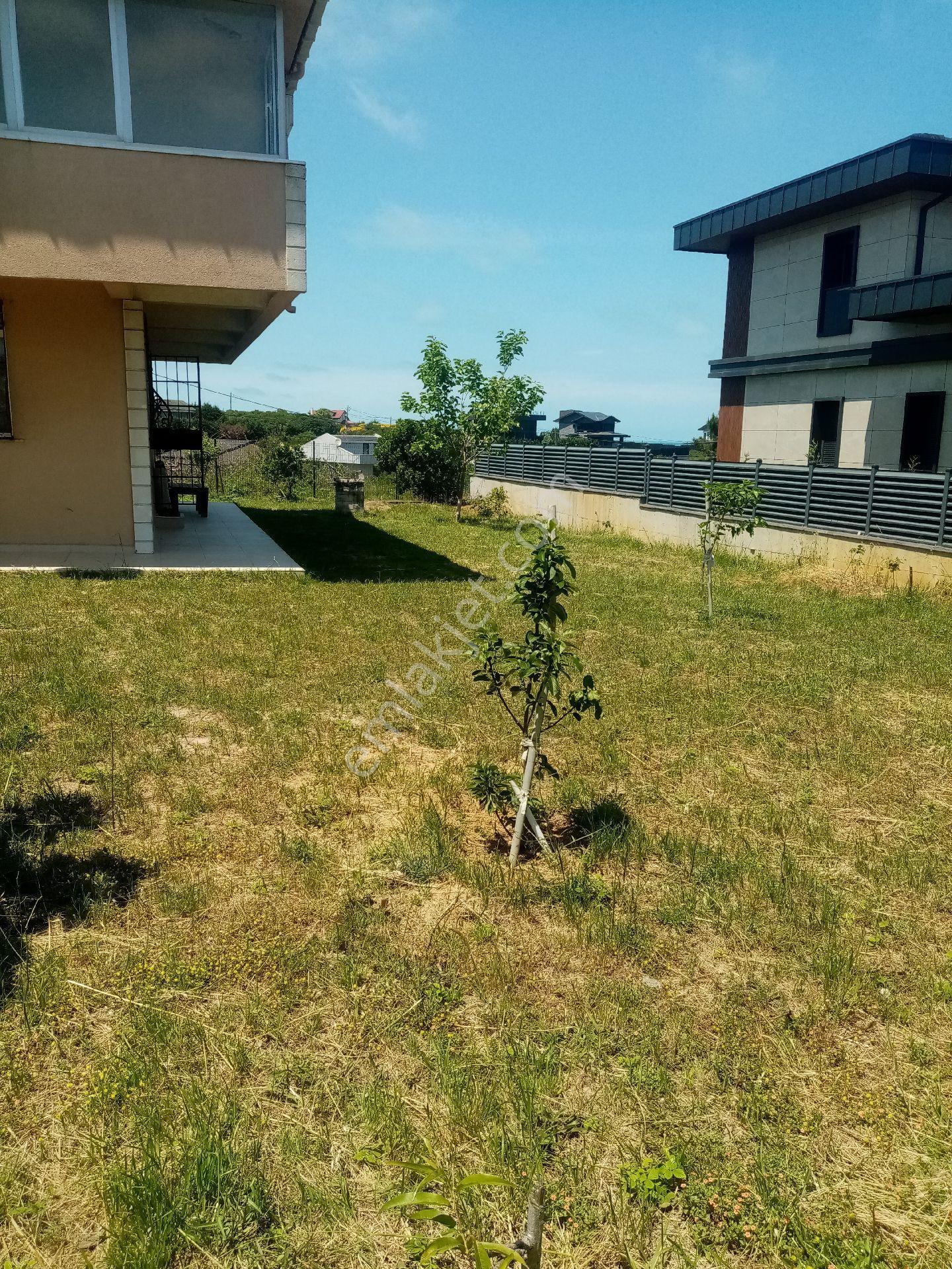 Beykoz Rivada Denize Ve Yola Yakın Arsa Fiyatına Villa - Görsel 4