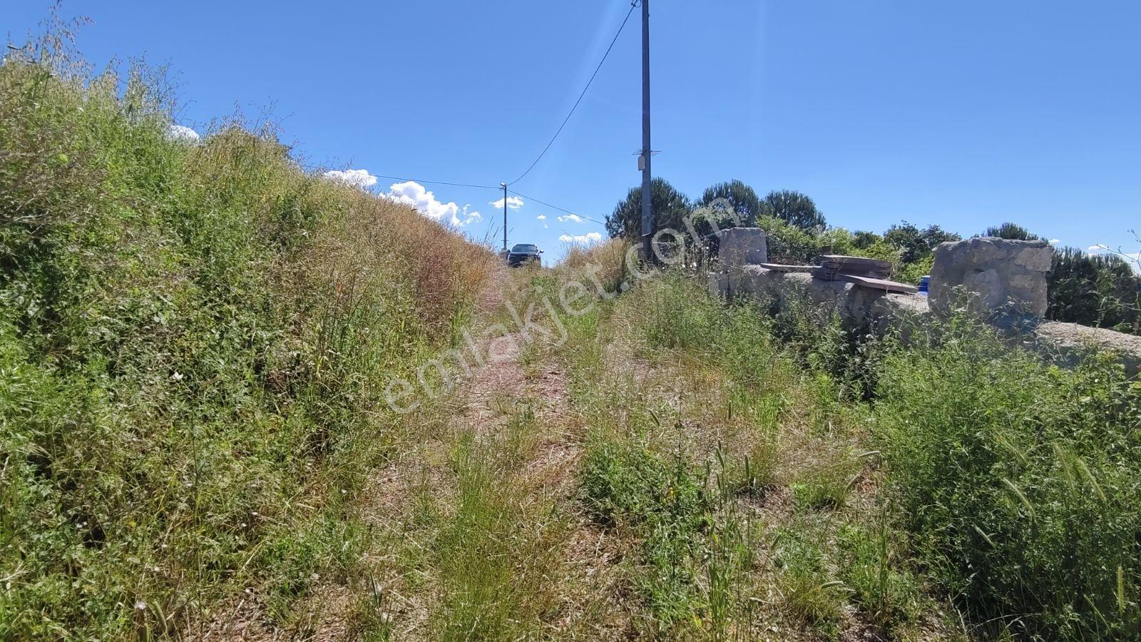Tarcanlar'dan Satılık Derince Geredeli 5044 Metrekare Tarla - Görsel 14