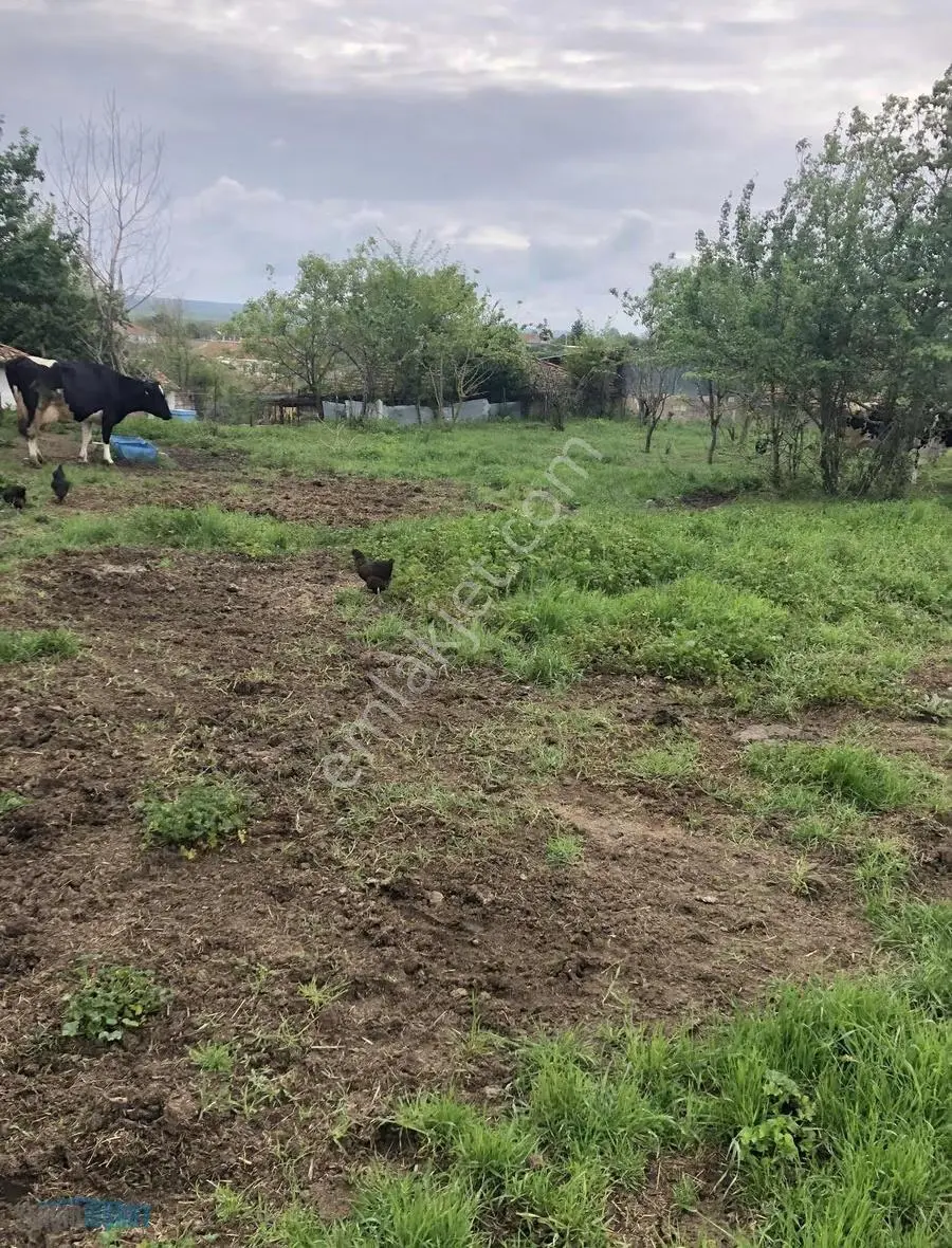 Zengin İnşaattan Satılık Arsa - Görsel 6