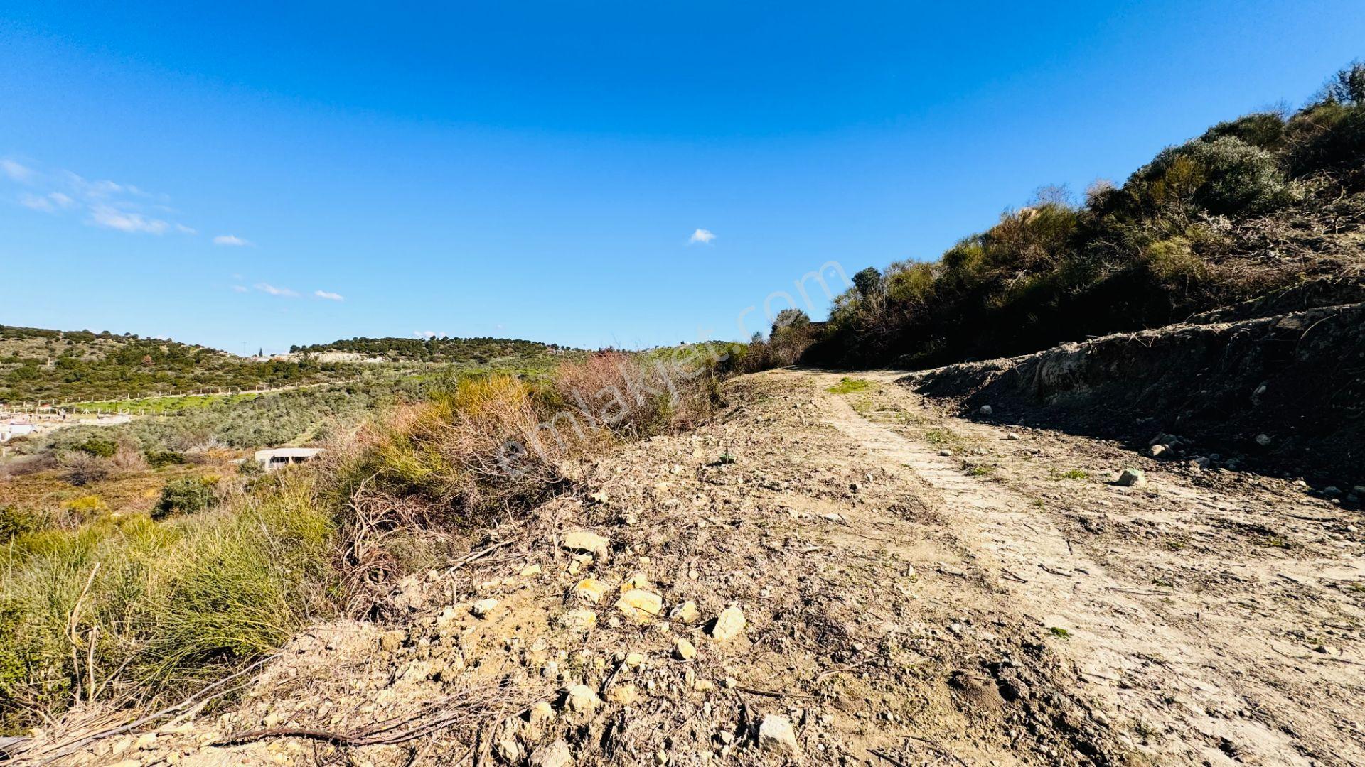Davutlarda Deniz Manzaralı Satılık Villa Arsası - Görsel 9