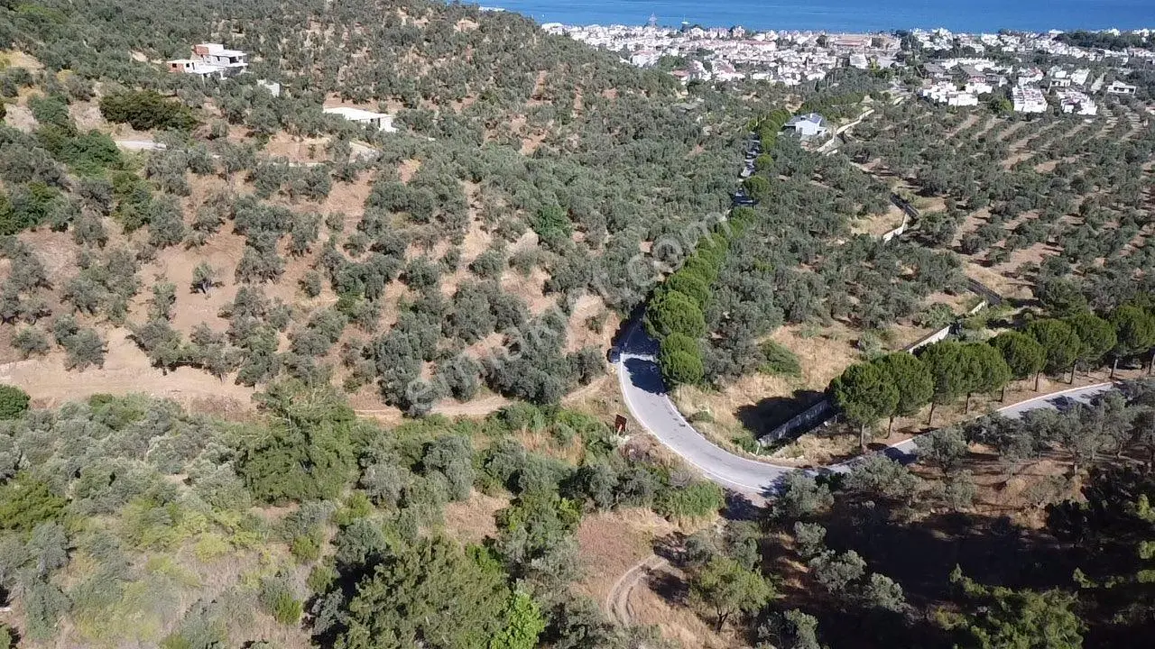 Çamlıbel Köyünde Köşe Tarla - Görsel 2
