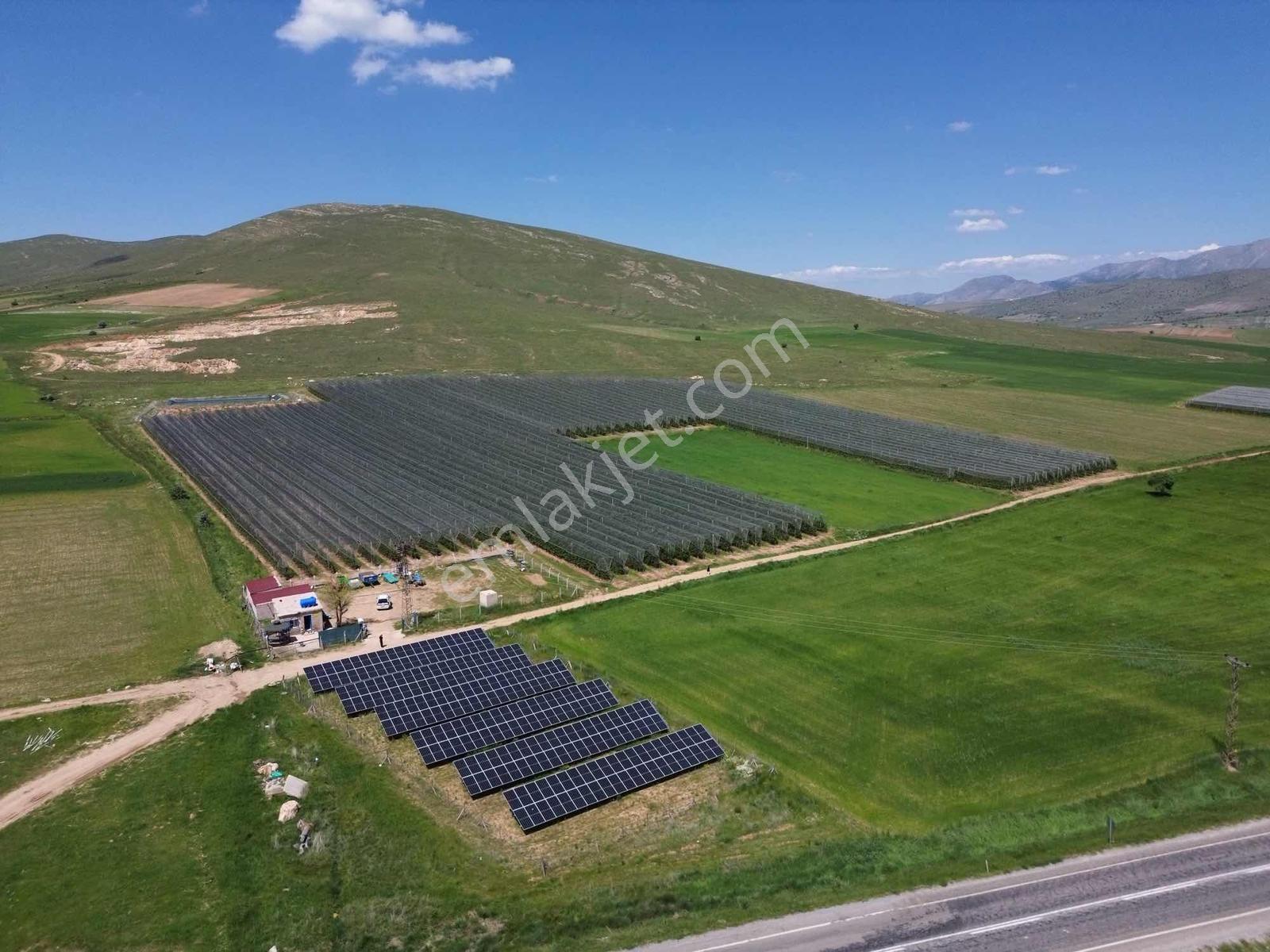 Niğde Kızılören'de Satılık 206 Dekar Ges'li Elma Bahçesi - Görsel 10