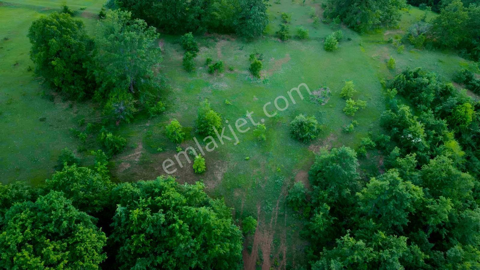 Bulduk'ta Osb Yakın 4000m2 Tarla
