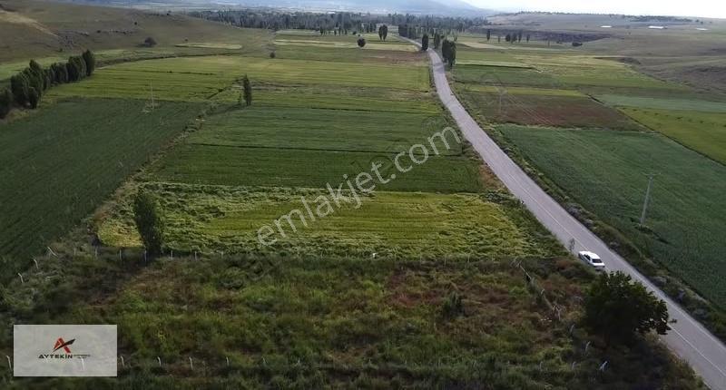 Akören Orhaniye Mahallesi'nde 901 M² Müstakil Tapulu Tarla - Görsel 3