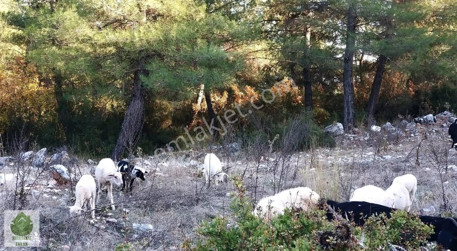 Muğla Menteşe Gülağzı Mahallesinde Satılık Villa Arsası....