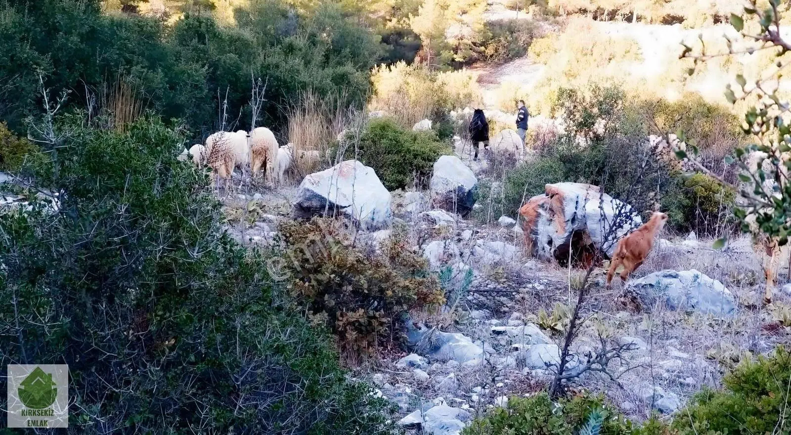 Muğla Menteşe Gülağzı Mahallesinde Satılık Villa Arsası.... - Görsel 4