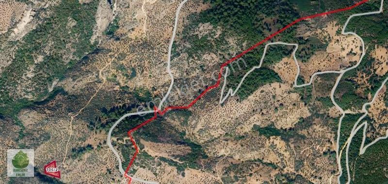 Muğla Milas Konak Mahallesi Karaburun Mevkii'nde Satılık Tarla.. - Görsel 4