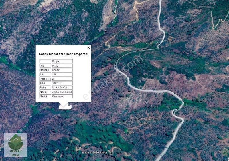 Muğla Milas Konak Mahallesi Karaburun Mevkii'nde Satılık Tarla.. - Görsel 3
