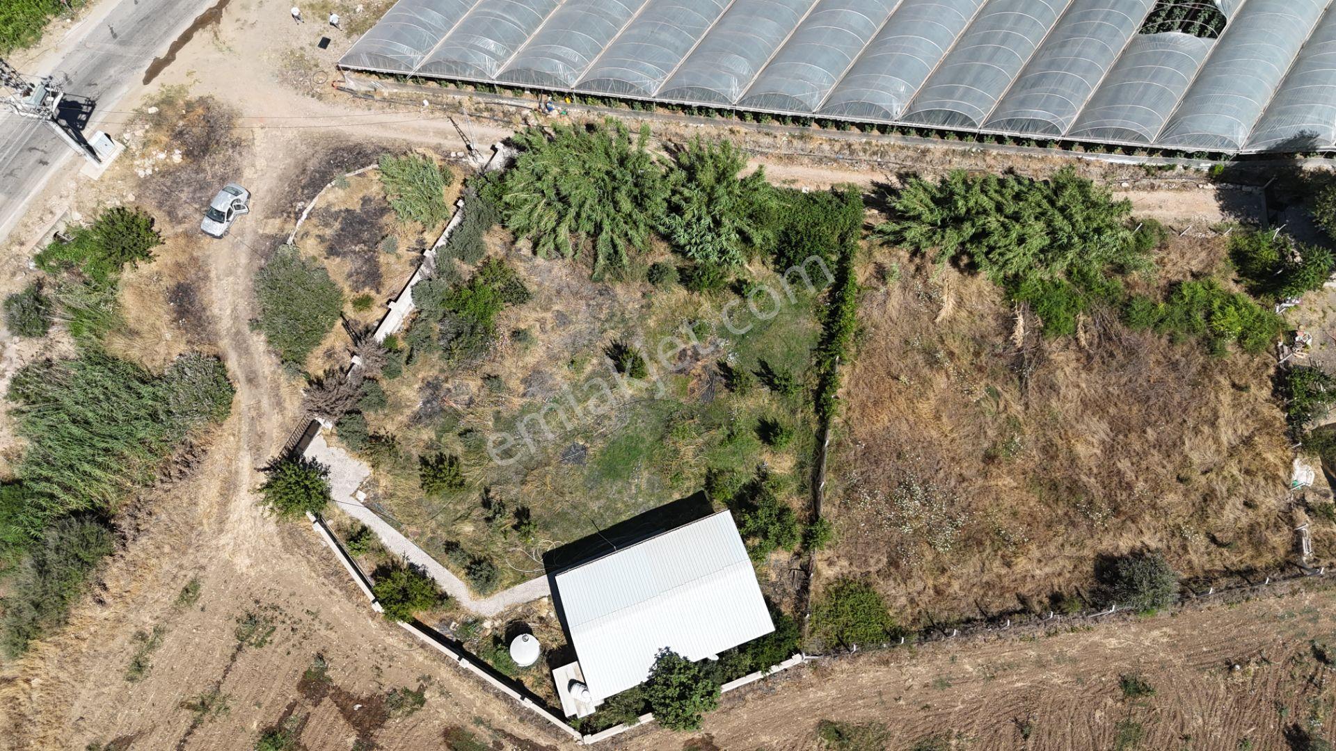 İzmir Menderes Çilemede 1+1 Evi 900 M2 Arsa İçinde Elektrik Su - Görsel 32