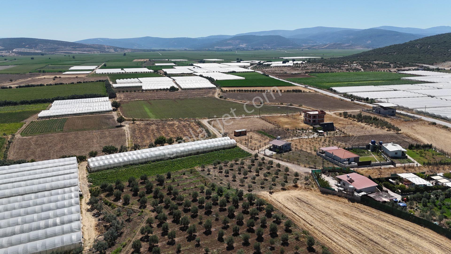İzmir Menderes Çilemede 1+1 Evi 900 M2 Arsa İçinde Elektrik Su - Görsel 24