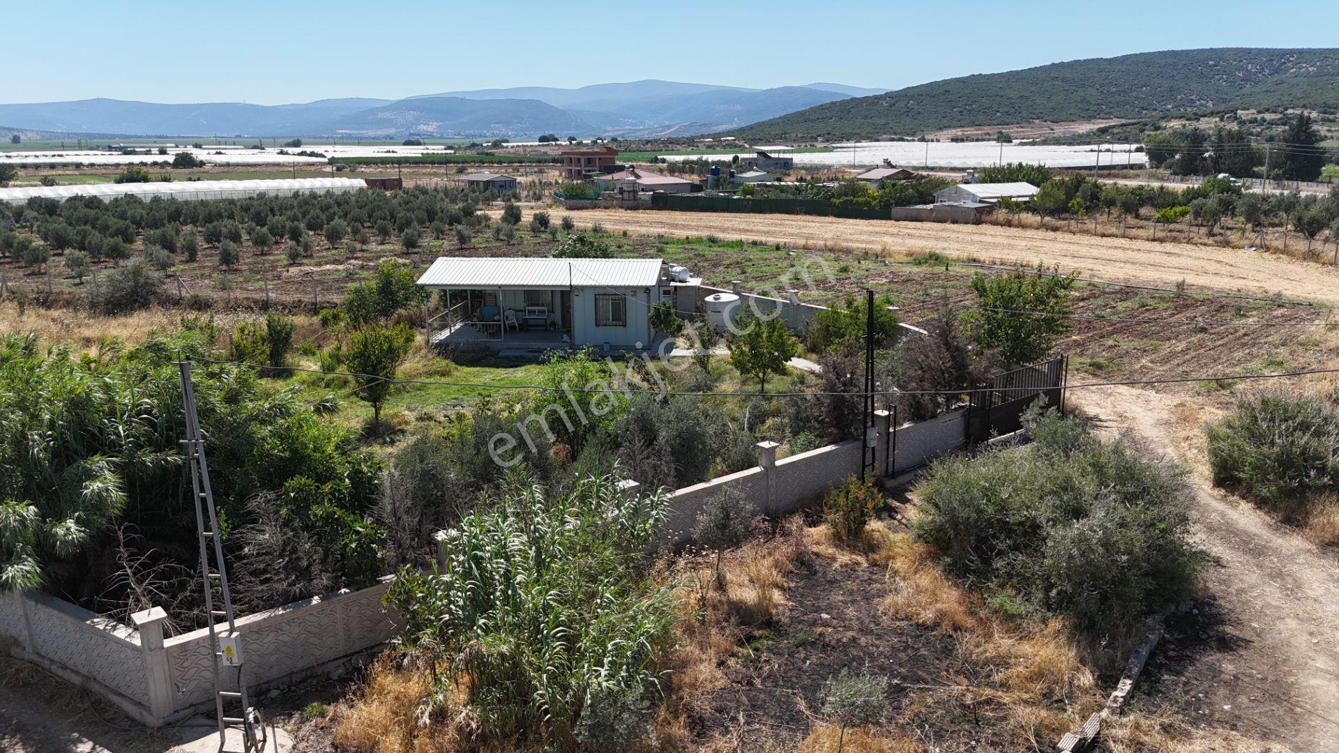 İzmir Menderes Çilemede 1+1 Evi 900 M2 Arsa İçinde Elektrik Su - Görsel 31