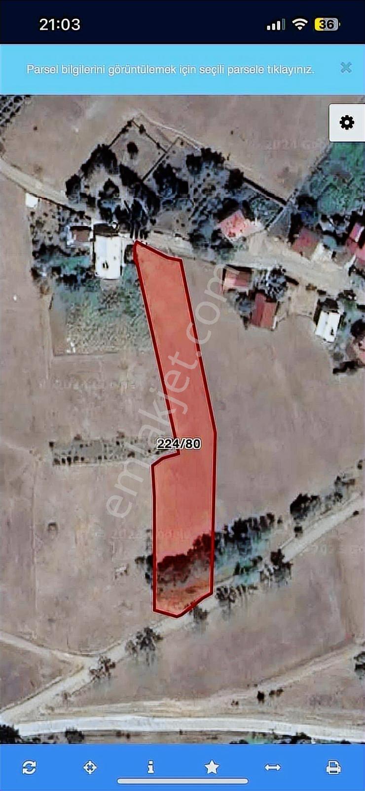 4000 M2 Yerleşik Alan İçerisinde Muhteşem Tarla - Görsel 4