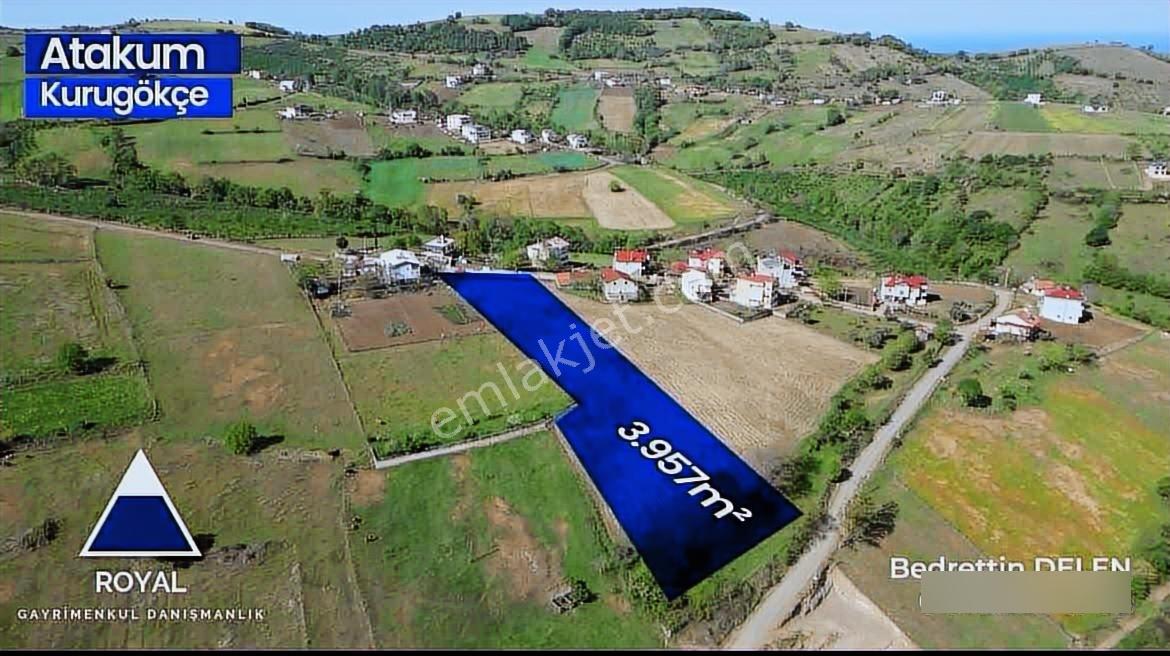 4000 M2 Yerleşik Alan İçerisinde Muhteşem Tarla - Görsel 3