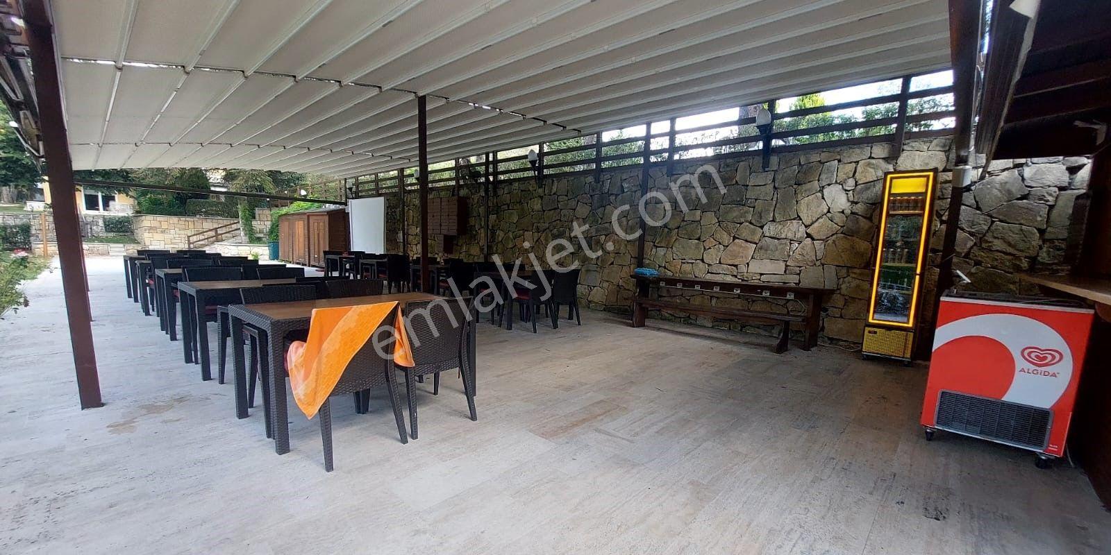 Şile Sesa Evleri Sitesinde Kiralık Villa - Görsel 21