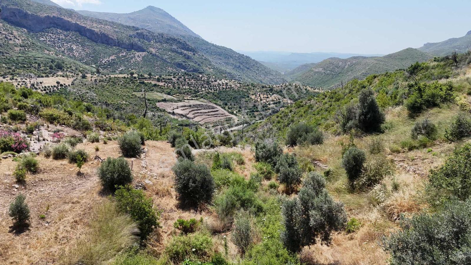 İnfo Manavgat Tilkiler'de Acil! 2527m² Köy İçi Fırsat Tarlası - Görsel 8