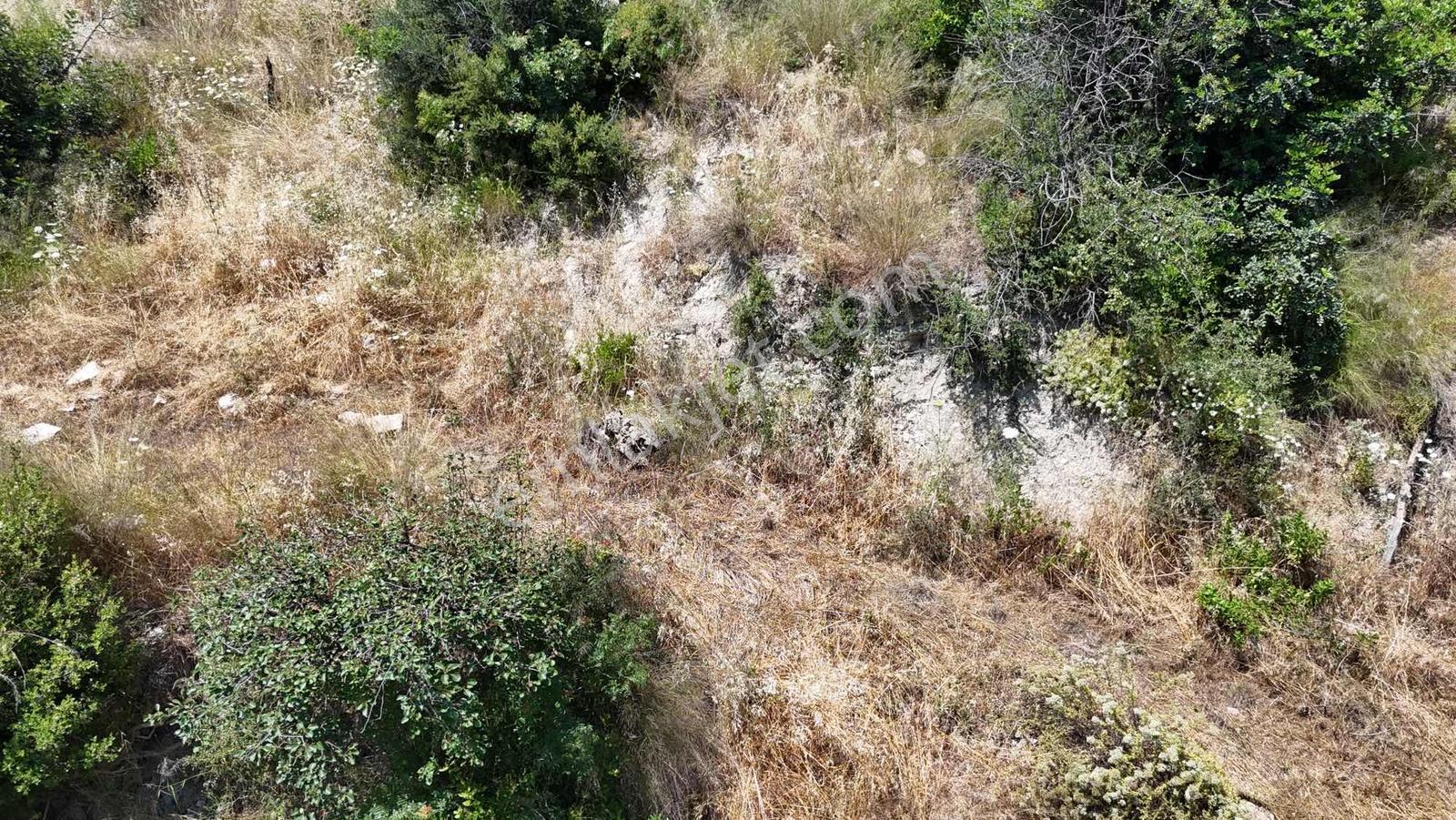 İnfo Manavgat Tilkiler'de Acil! 2527m² Köy İçi Fırsat Tarlası - Görsel 6