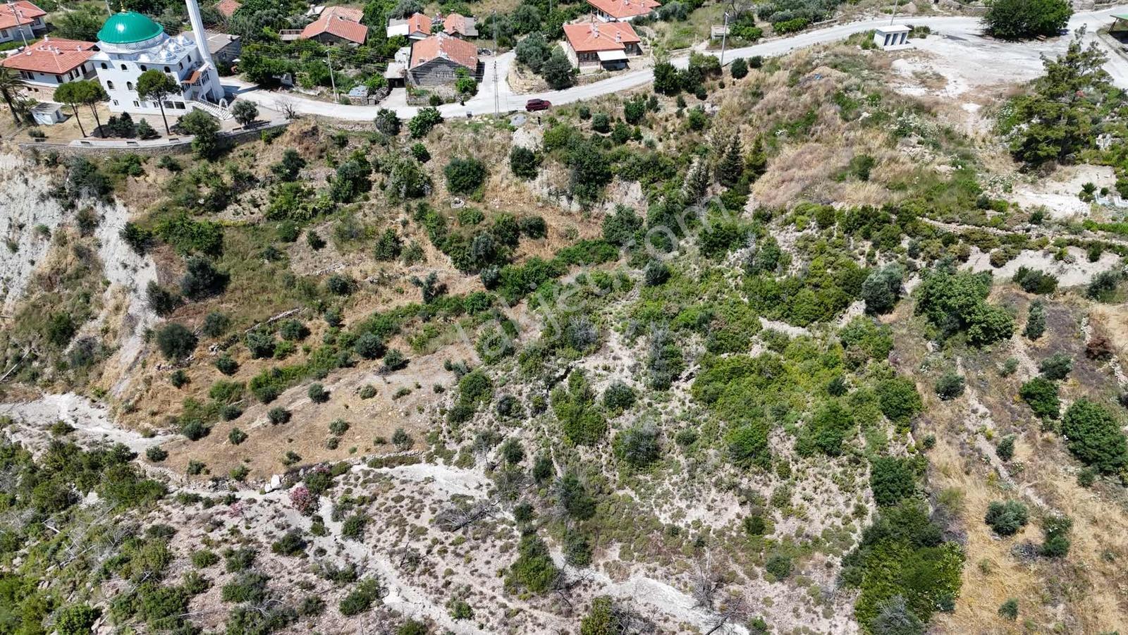 İnfo Manavgat Tilkiler'de Acil! 2527m² Köy İçi Fırsat Tarlası - Görsel 16