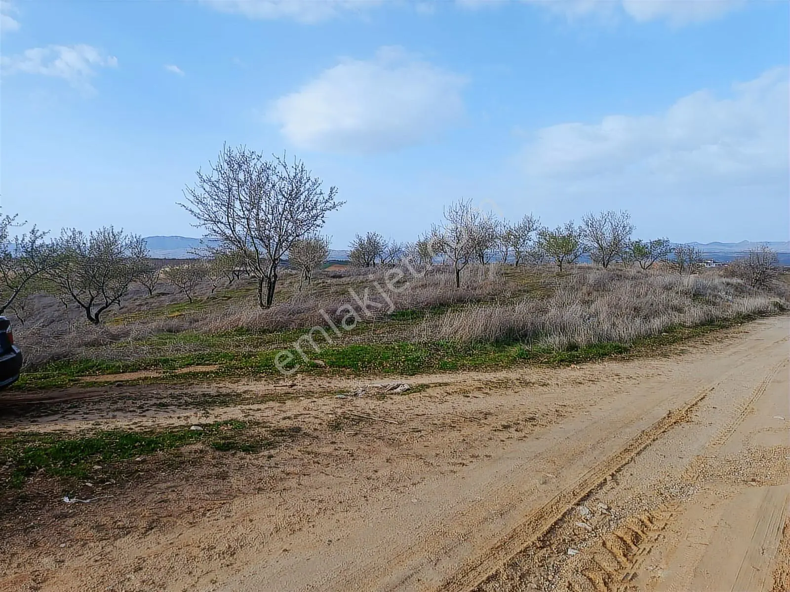 Uşak Eşme Satılık 22 Dönüm Arazi 10 Yaşında 250 Adet Badem - Görsel 8