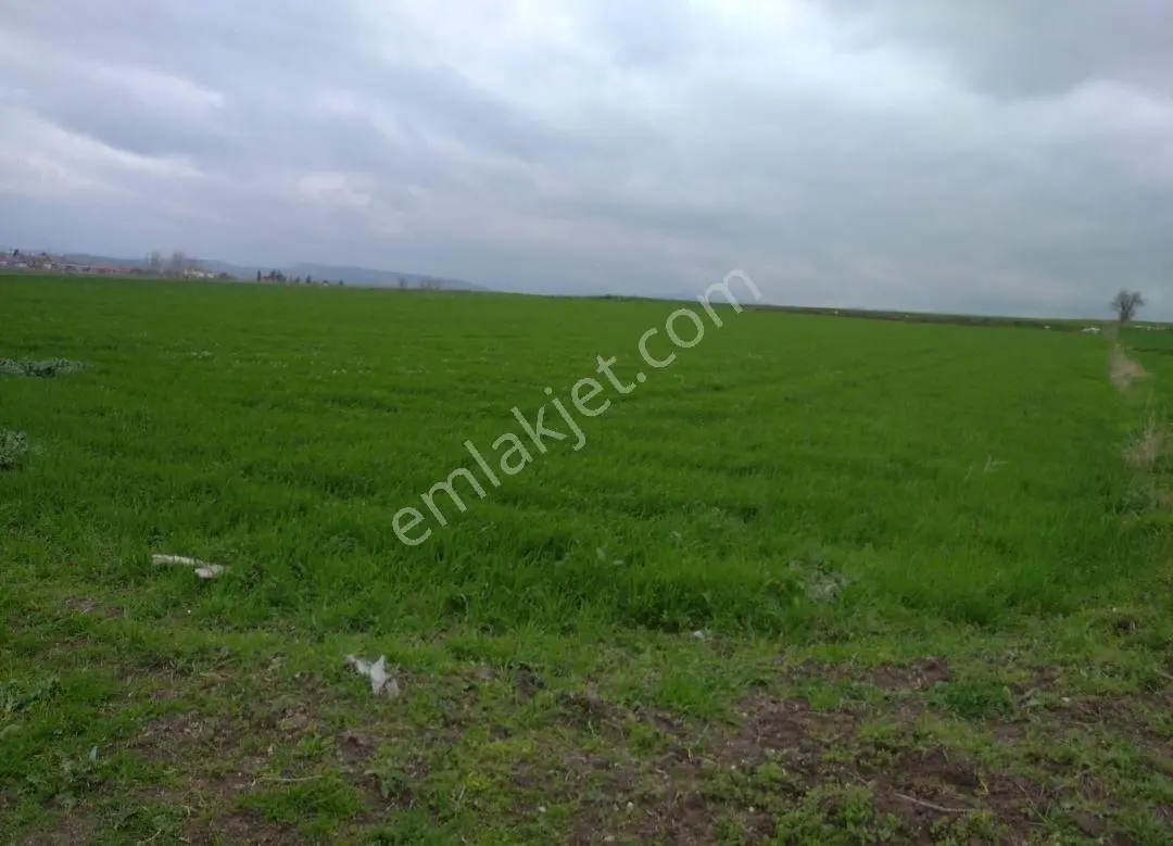 Altıeylül Çandır'da Yola Cepheli 7.725m2 Yatırımlık Tarla - Görsel 5