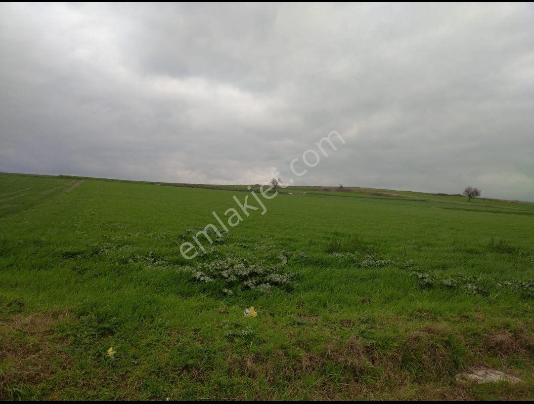 Altıeylül Çandır'da Yola Cepheli 7.725m2 Yatırımlık Tarla