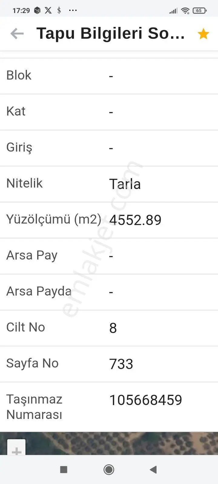 Sahibinden 4500 M2 Zeytinlik Deniz Manzaralı - Görsel 3