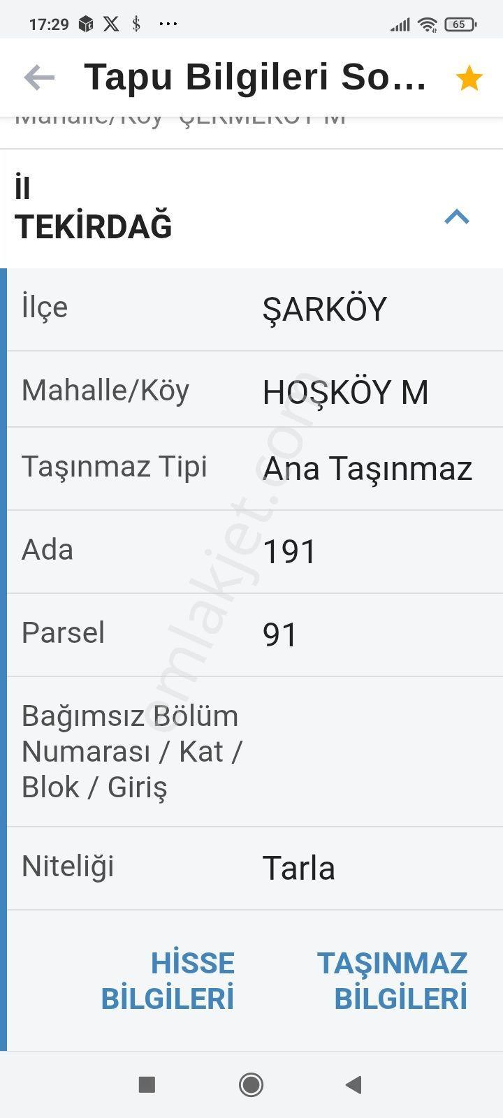Sahibinden 4500 M2 Zeytinlik Deniz Manzaralı - Görsel 4