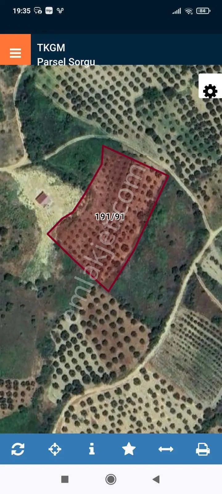 Sahibinden 4500 M2 Zeytinlik Deniz Manzaralı - Görsel 2