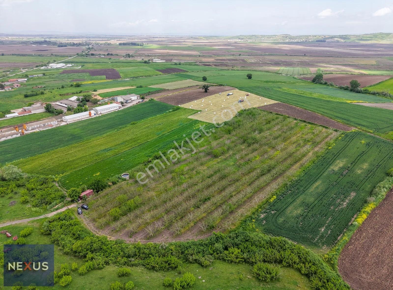 Balıkesir Manyas Çamlı'da Satılık 20.700 M² Yetişkin Ceviz Bahçe - Görsel 15