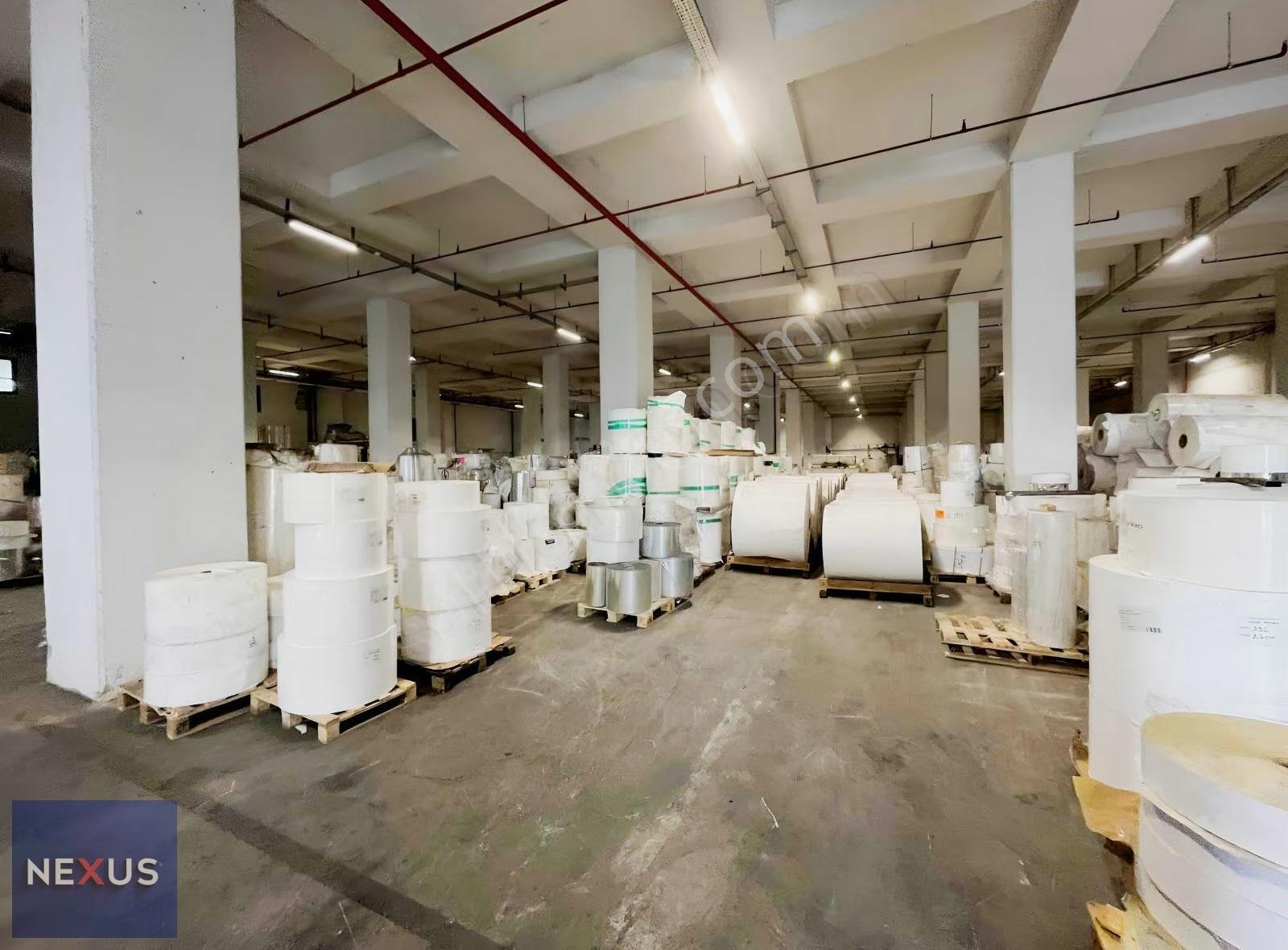 Dilovasın'da 8.000 M2 Kiralık Müstakil Rampalı Depo - Görsel 7