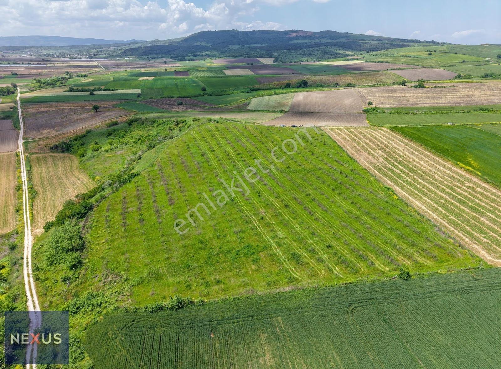 Balıkesir Manyas Kızık'da Satılık 19.191,20 M² Ceviz Bahçesi - Görsel 20