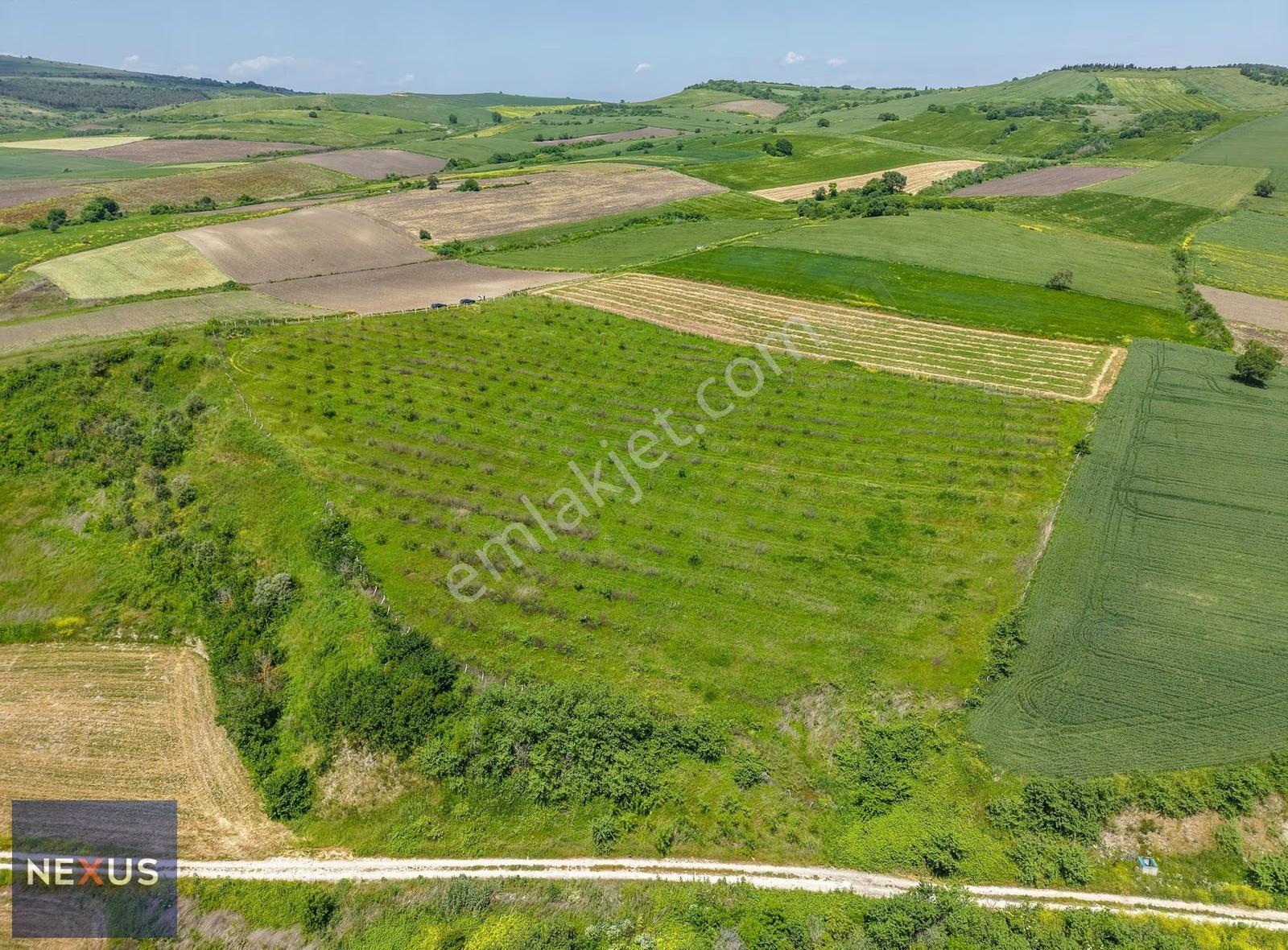 Balıkesir Manyas Kızık'da Satılık 19.191,20 M² Ceviz Bahçesi - Görsel 19