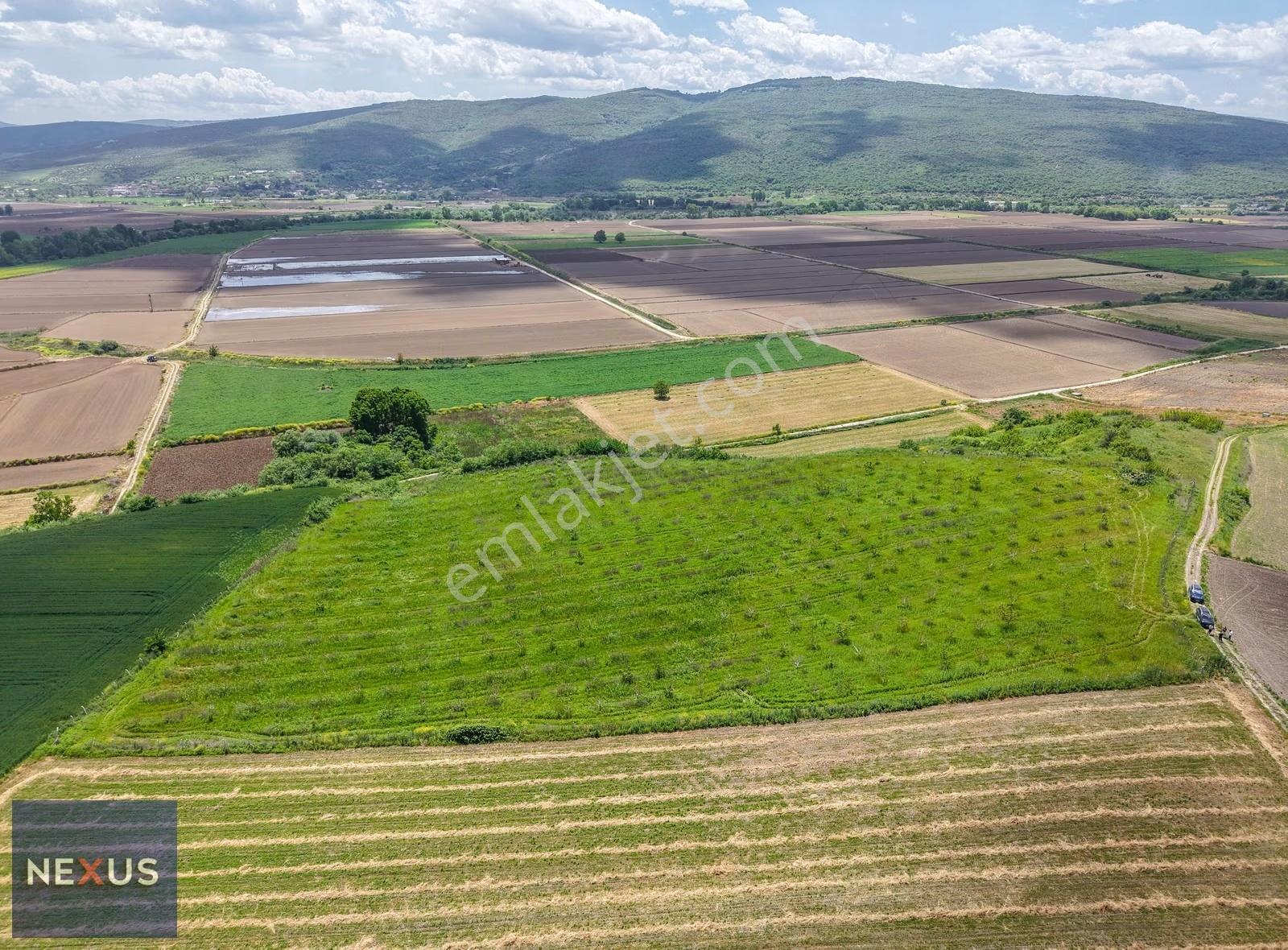 Balıkesir Manyas Kızık'da Satılık 19.191,20 M² Ceviz Bahçesi - Görsel 15