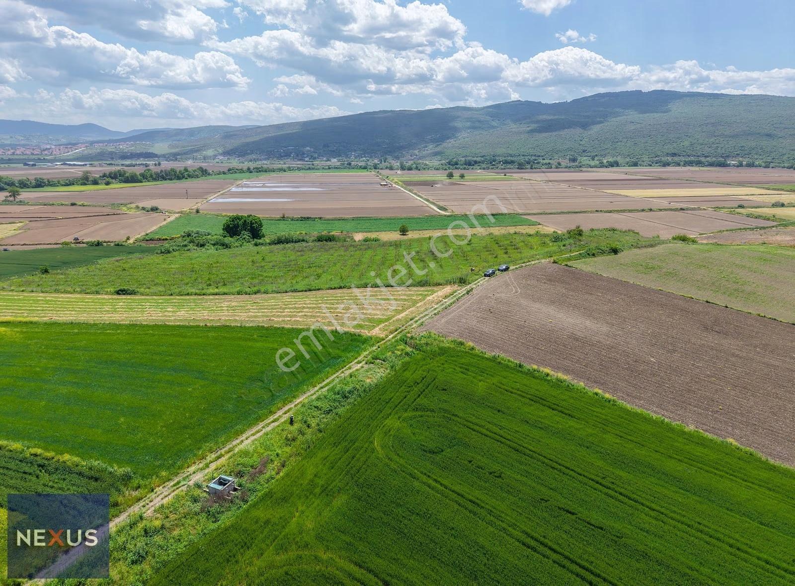 Balıkesir Manyas Kızık'da Satılık 19.191,20 M² Ceviz Bahçesi - Görsel 2