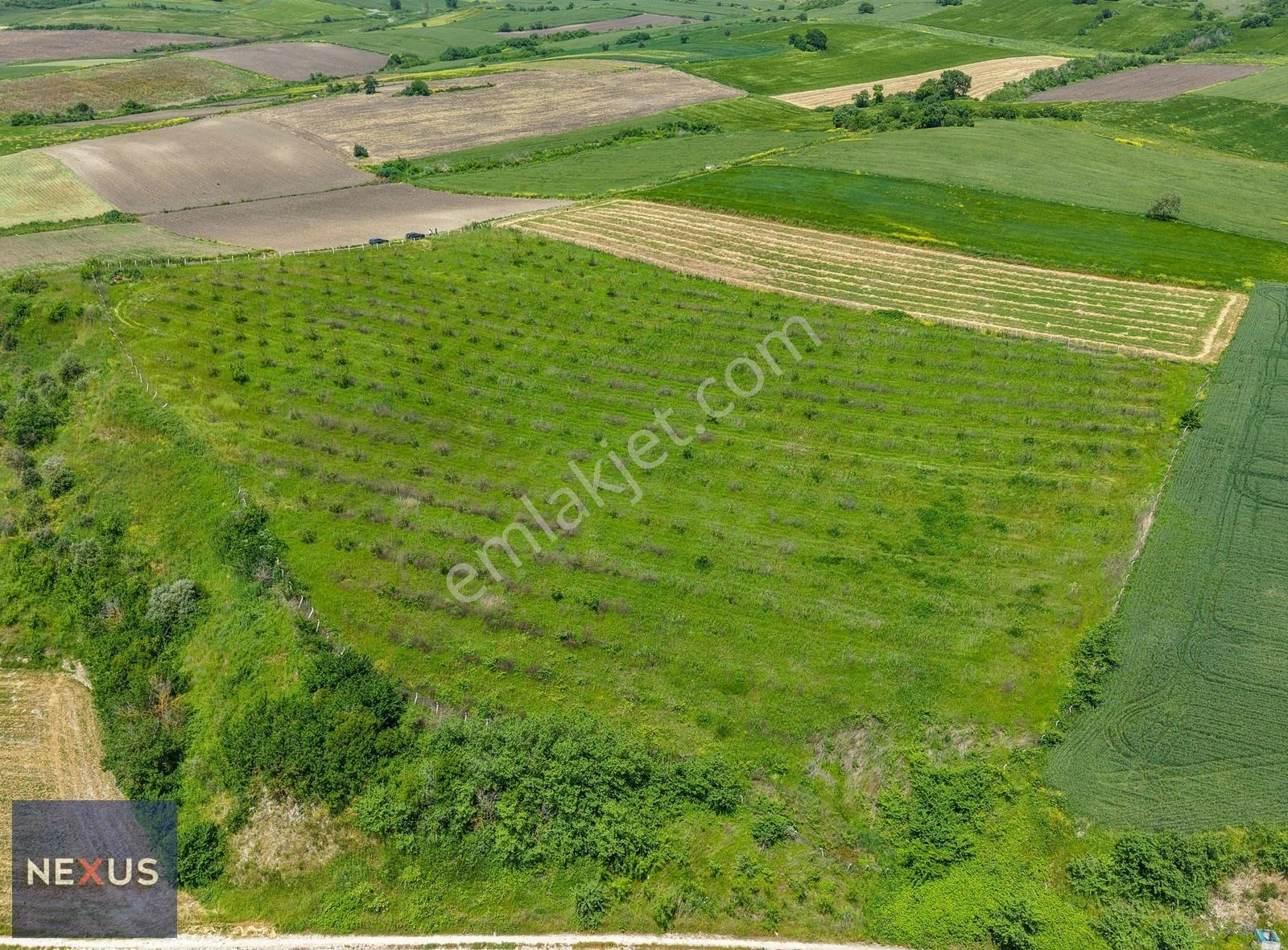Balıkesir Manyas Kızık'da Satılık 19.191,20 M² Ceviz Bahçesi - Görsel 8