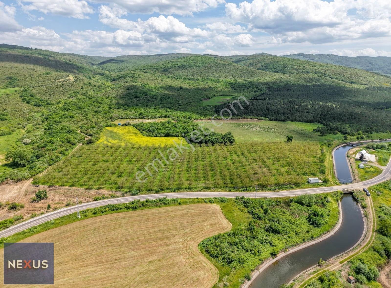 Balıkesir Manyas Hacı Yakuplu'da Satılık 24.300 M² Ceviz Bahçesi - Görsel 7