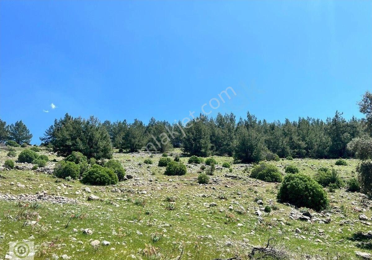 Milas Kayadere'de Çeşmeli, Zeytin Ağaçlı 20.245 M² Yatırımlık Tarla - Görsel 6