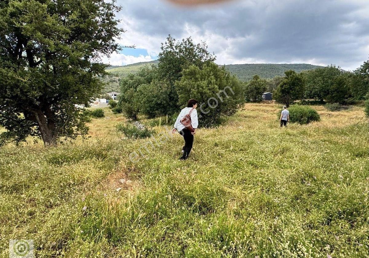 Milas Kalınağıl’da Merkezi Konum Da Kadastro Yoluna Yakın 1.929 M² Satılık Tarla - Görsel 9