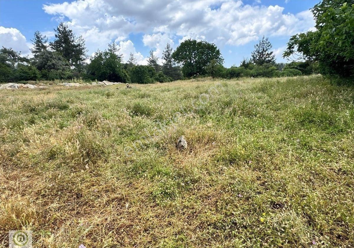 Milas Kalınağıl’da Merkezi Konum Da Kadastro Yoluna Yakın 1.929 M² Satılık Tarla - Görsel 3