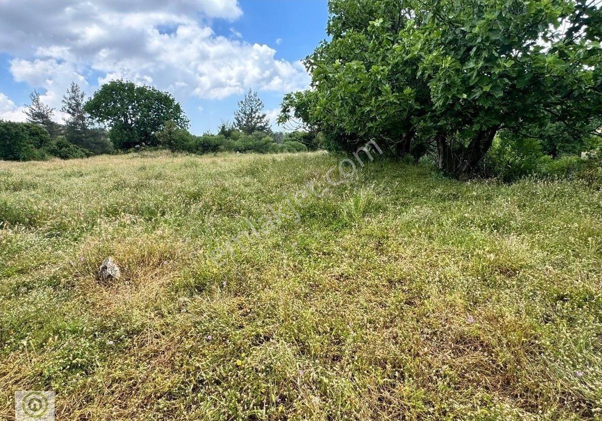 Milas Kalınağıl’da Merkezi Konum Da Kadastro Yoluna Yakın 1.929 M² Satılık Tarla - Görsel 4