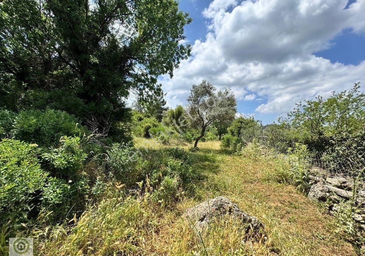 Milas Kalınağıl’da Merkezi Konum Da Kadastro Yoluna Yakın 1.929 M² Satılık Tarla - Görsel 11