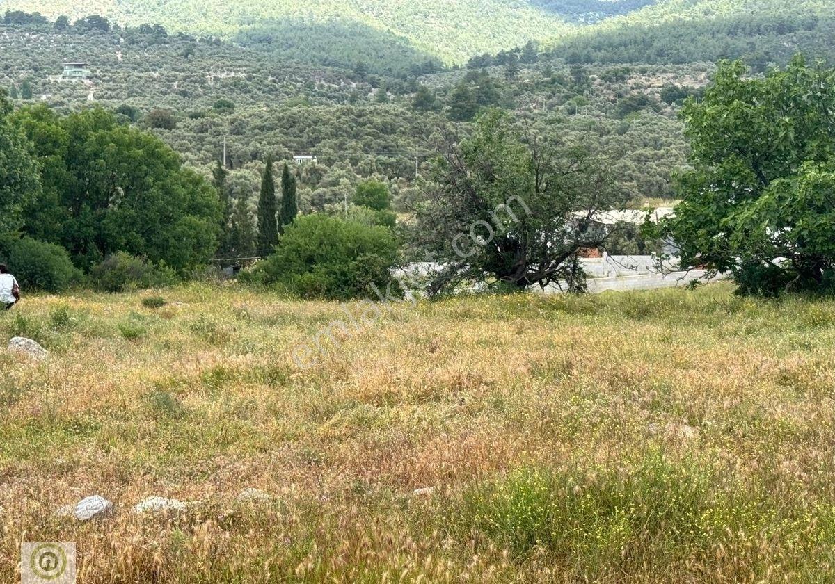 Milas Kalınağıl’da Merkezi Konum Da Kadastro Yoluna Yakın 1.929 M² Satılık Tarla - Görsel 7