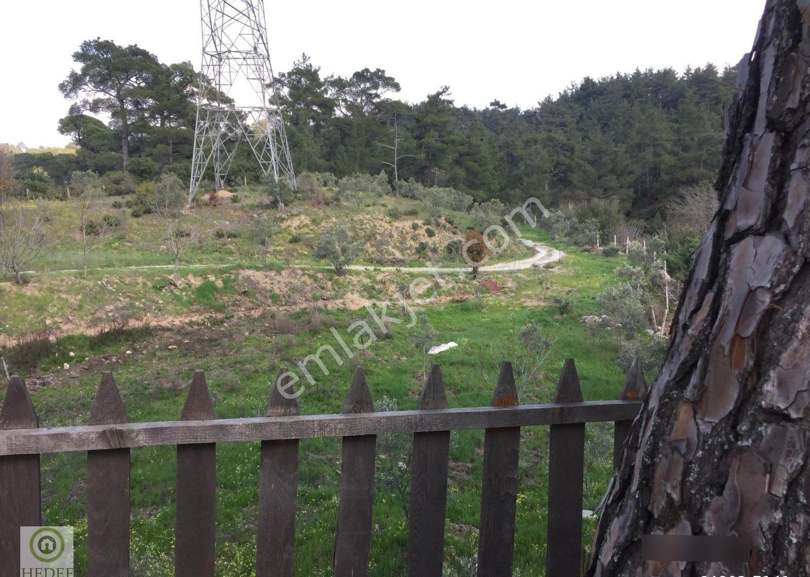 Aydın / Karpuzlu / Bodrum’a Açılan Kapı! 10,862 M² Özel Arazi İçinde Lüks Yaşam Alanı - Görsel 11
