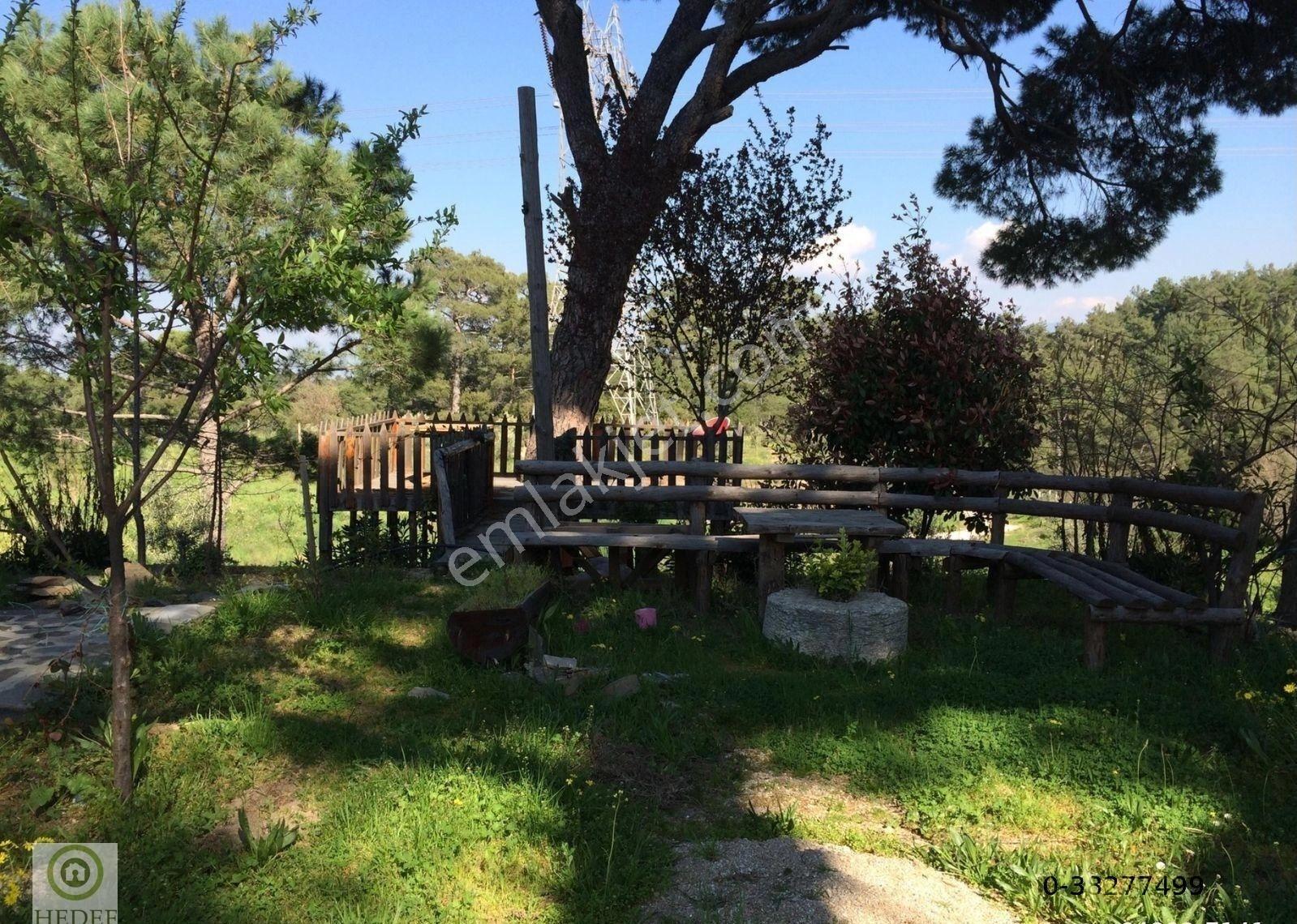 Aydın / Karpuzlu / Bodrum’a Açılan Kapı! 10,862 M² Özel Arazi İçinde Lüks Yaşam Alanı - Görsel 6
