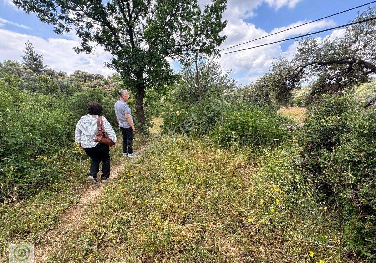 Milas Kalınağıl’da Merkezi Konumda 2.330 M² Satılık Tarla - Görsel 15